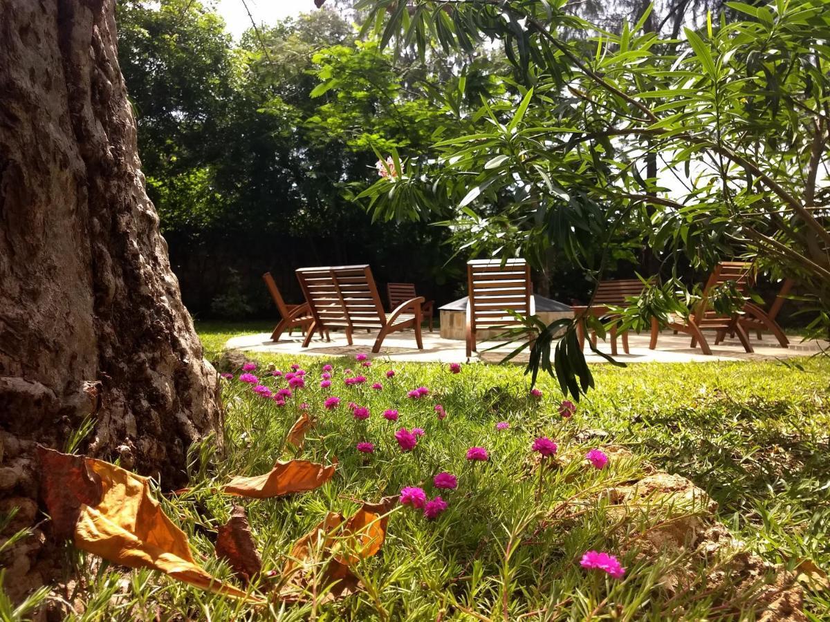 디아니 해변 Zarafa House B&B 외부 사진